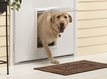 Pet Door - Dog Door, White color - 37560 Pet Door - Dog Door, White color - 37560